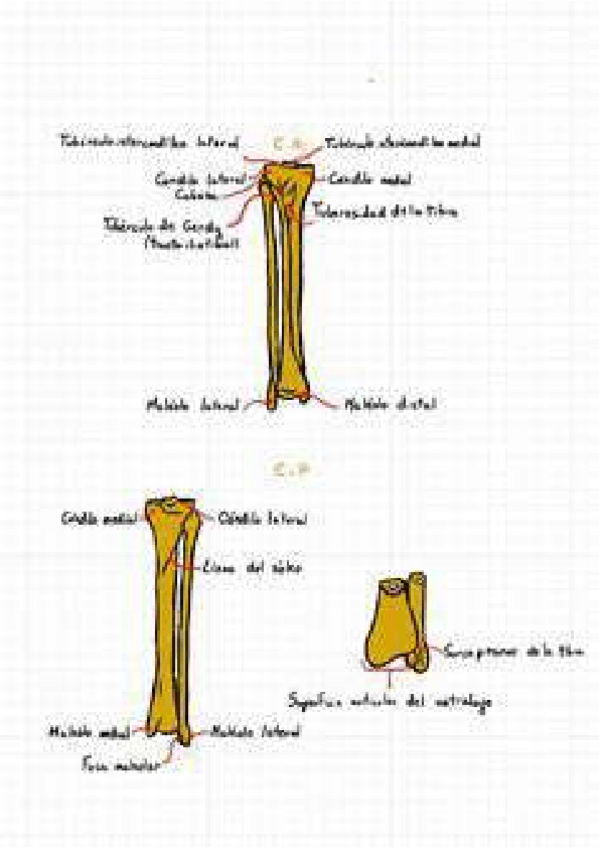 Miniatura del documento 2759430451261cc963b3b04770272b39-10.pdf