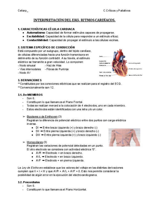 Miniatura del documento INTERPRETACION-DEL-EKG.pdf