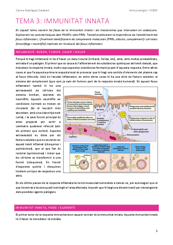 Miniatura del documento IMMUNO-TEMA-3.-Immunitat-innata.pdf