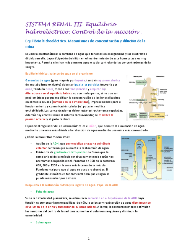 Miniatura del documento SISTEMA-RENAL-III.pdf