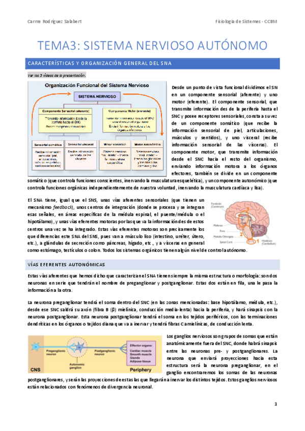 Miniatura del documento FS-T3.-Sistema-nervioso-Autonomo.pdf