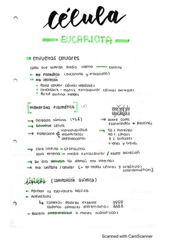 Miniatura del documento CELULA.pdf