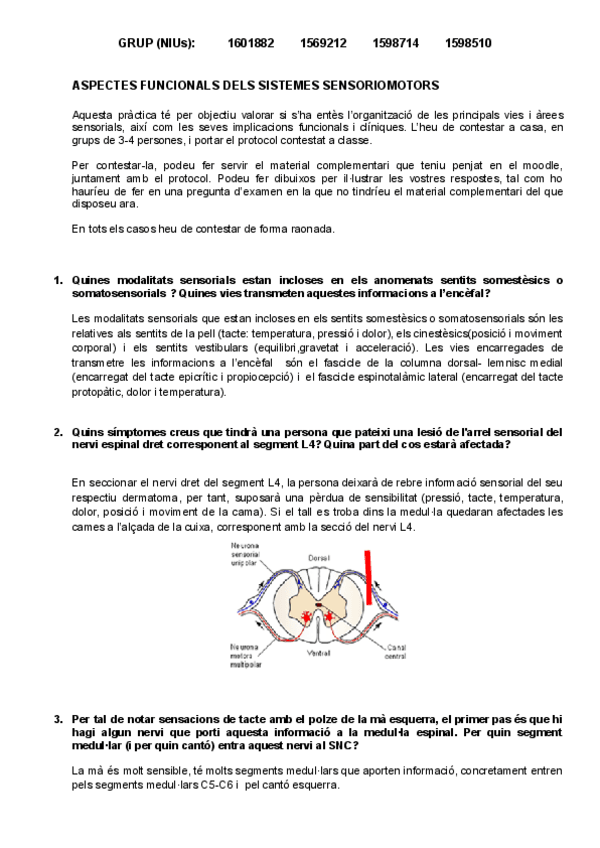 Miniatura del documento Tema-B9-Neuro-Practica.pdf