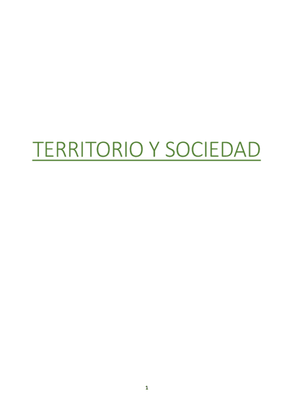 Miniatura del documento TERRITORIO-Y-SOCIEDAD.pdf
