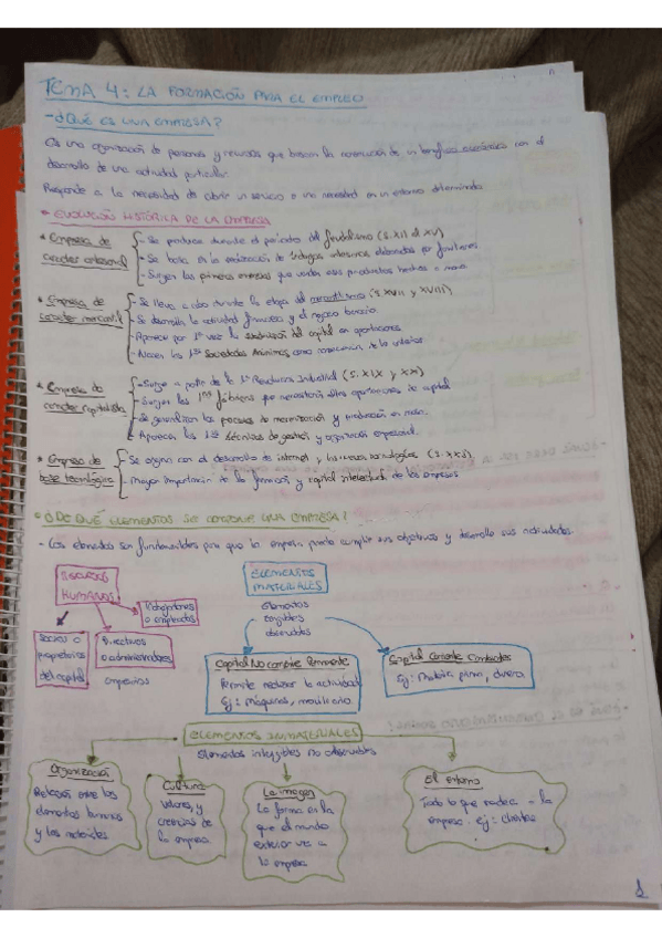 Miniatura del documento Tema-4-Formacion.pdf