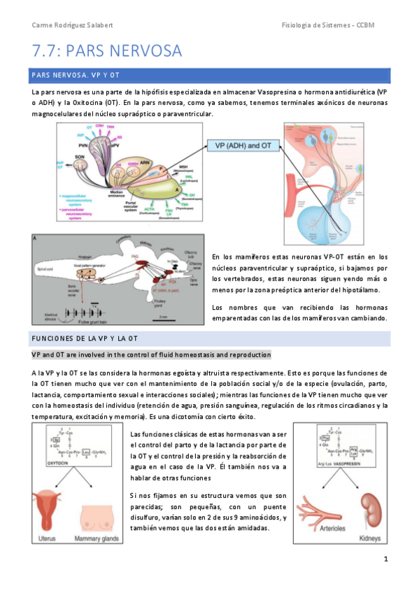 Miniatura del documento TEMA-7.7.-Pars-nervosa.pdf