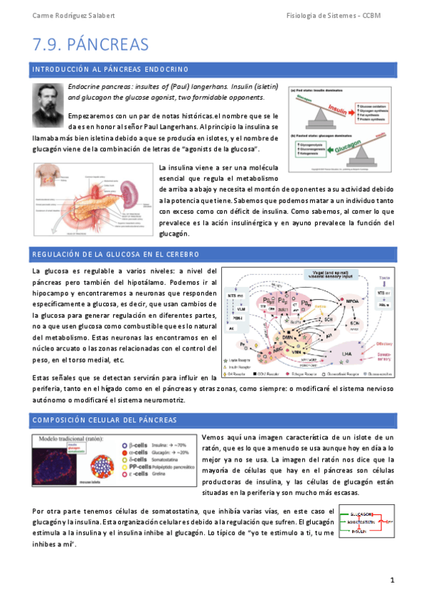Miniatura del documento TEMA-7.9.-Pancreas.pdf