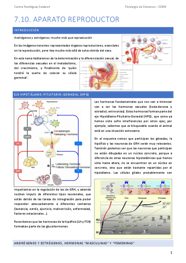 Miniatura del documento TEMA-7.10.-Aparato-reproductor.pdf
