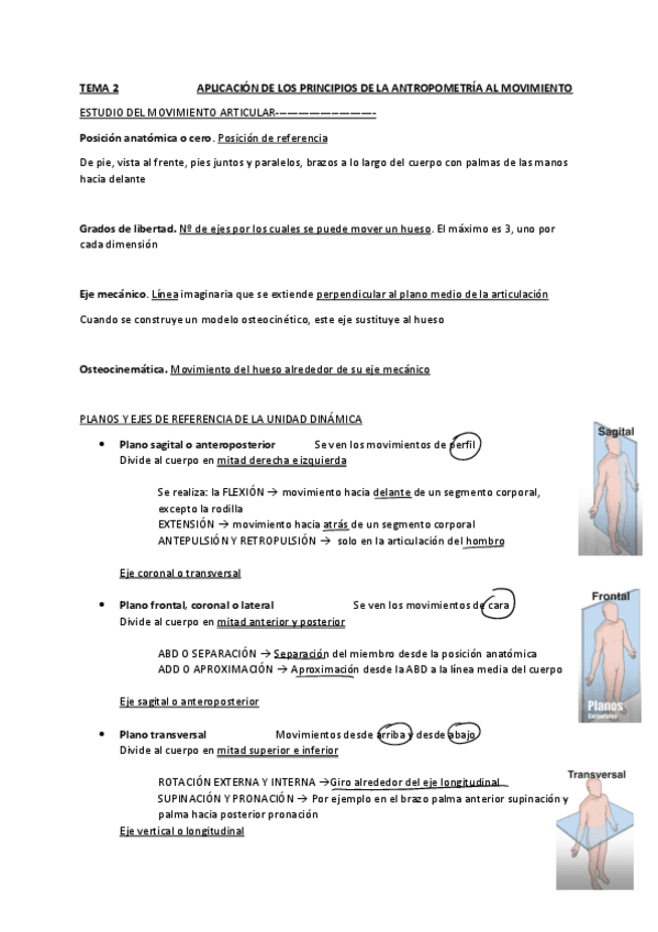 Miniatura del documento TEMA-2-APLICACION-DE-LOS-PRINCIPIOS-DE-LA-ANTROPOMETRIA-AL-MOVIMIENTO.pdf