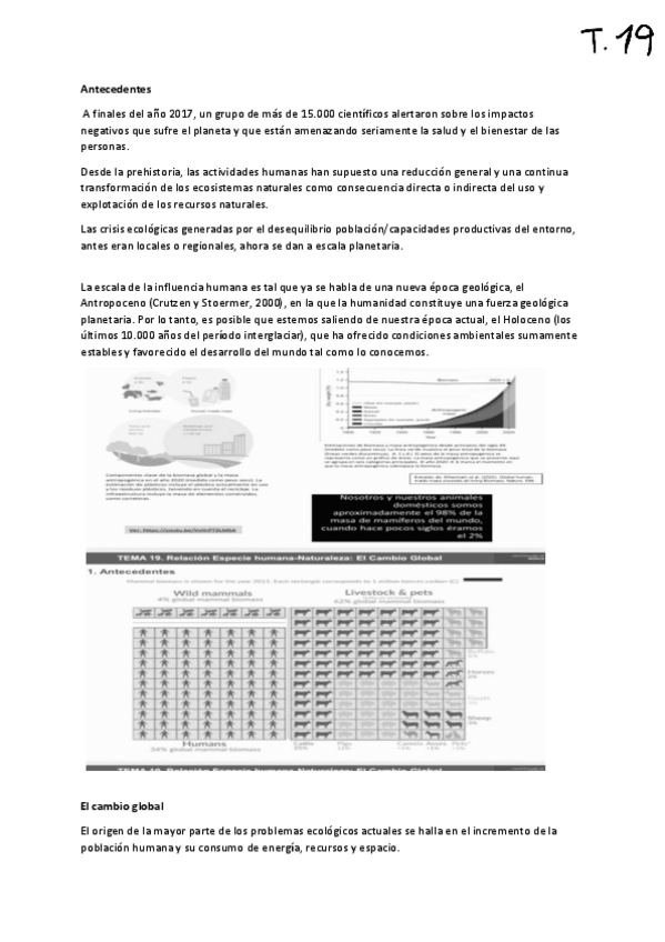 Miniatura del documento ECO-T19.pdf