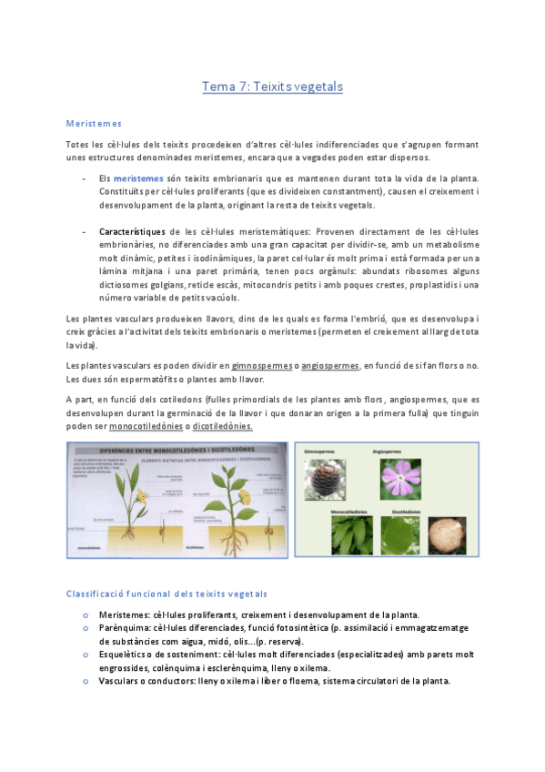Miniatura del documento Temes-7-11-Cito-histo-Dr.-Ribes.pdf