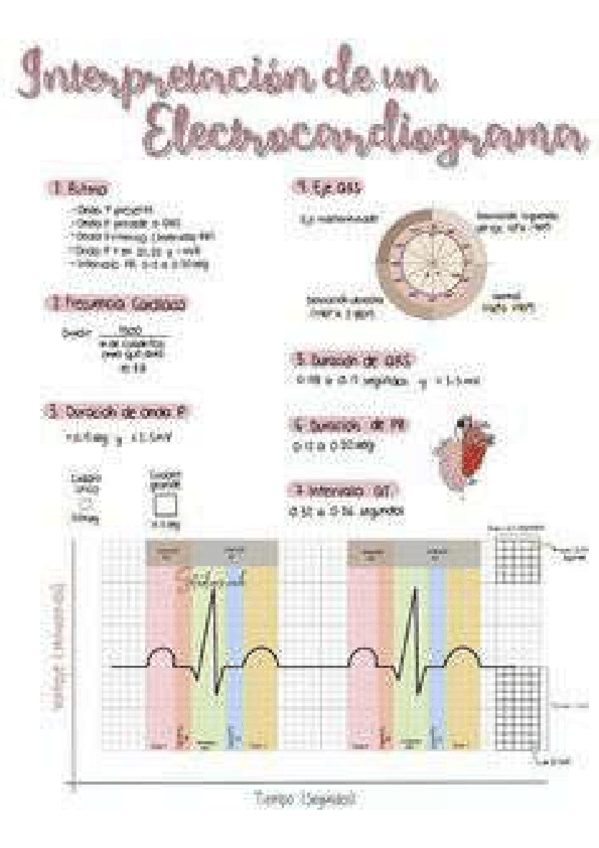 Miniatura del documento e94926b1a71ffd95302fd26dac38a4dd.pdf