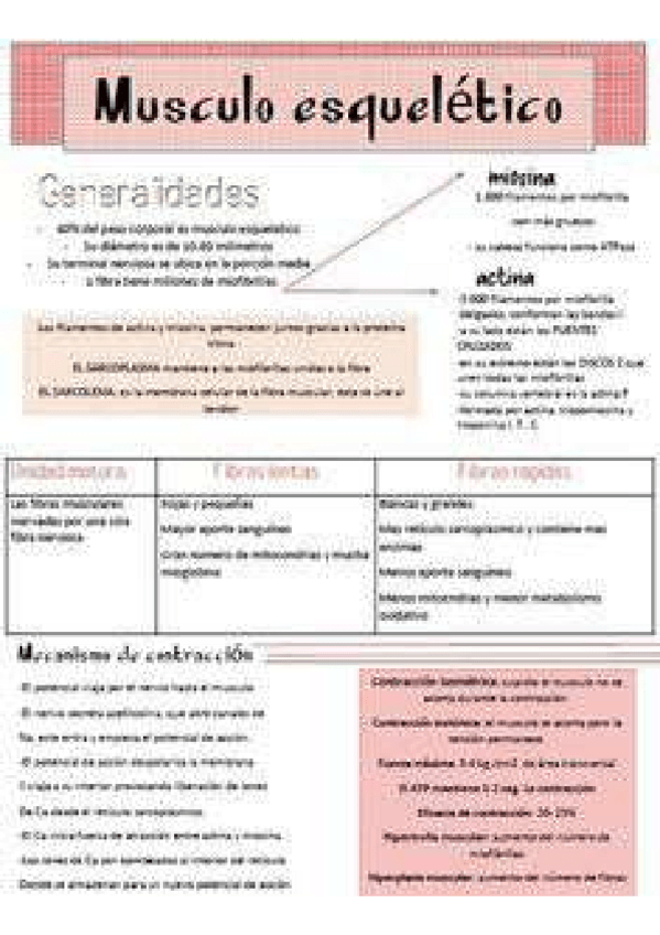 Miniatura del documento 1f3a8f033da2461d0f85cb3c497ad2e3.pdf