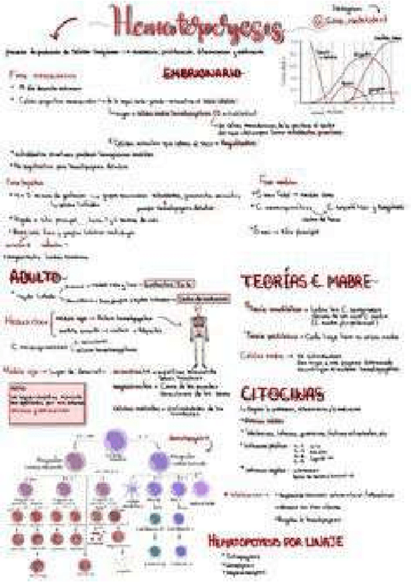 Miniatura del documento c00e6af86daab867f7e40f72d0338e9b.pdf