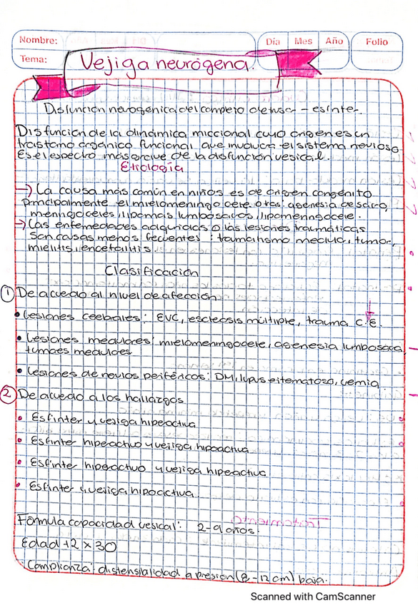 Miniatura del documento Vejiga-neurogena.pdf