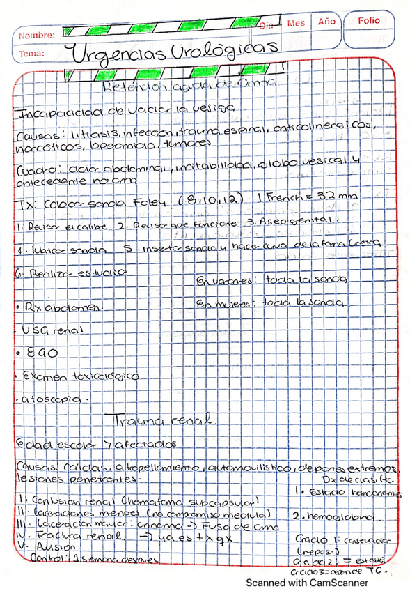 Miniatura del documento Urgencias-urologicas.pdf