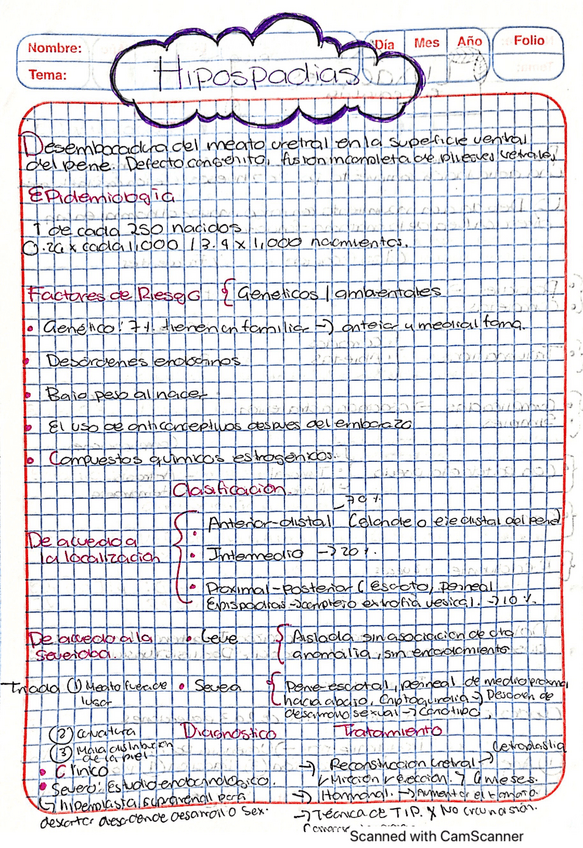 Miniatura del documento hipospadias.pdf