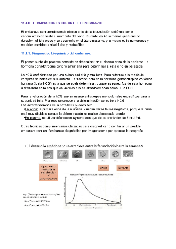Miniatura del documento DETERMINACIONES-DURANTE-EL-EMBARAZO.pdf