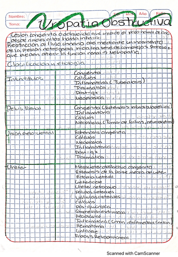 Miniatura del documento uropatia-obstructiva.pdf