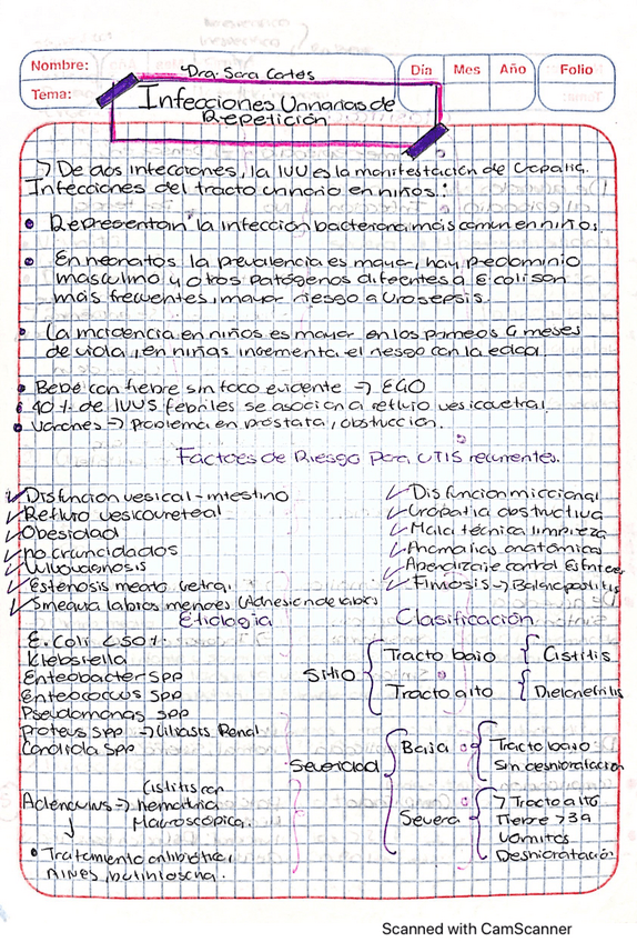 Miniatura del documento Infecciones-urinarias-de-repeticion.pdf