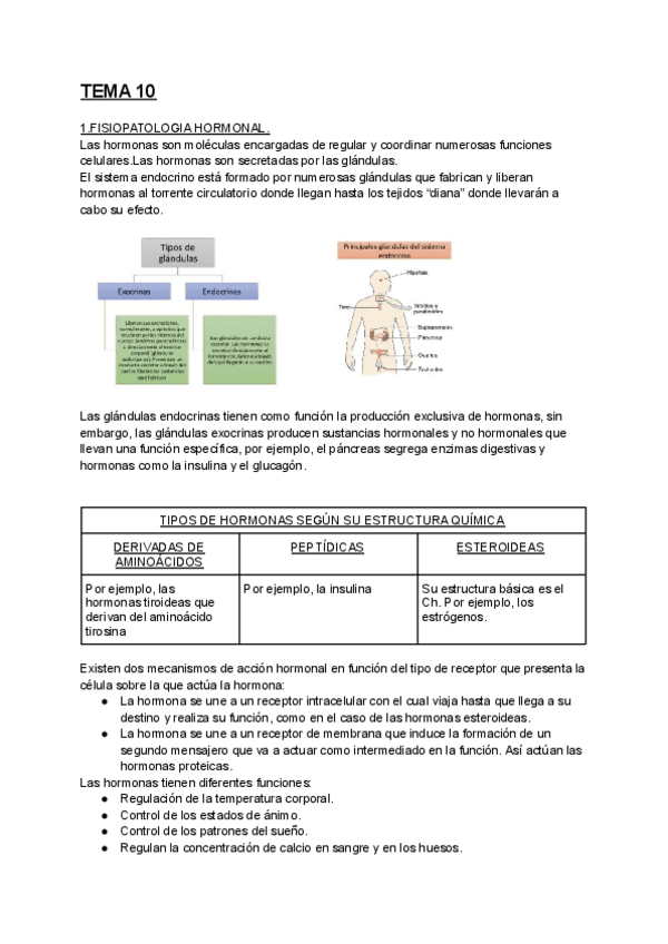 Miniatura del documento FISIOPATOLOGIA-HORMONAL.-BIOQUIMICA.pdf