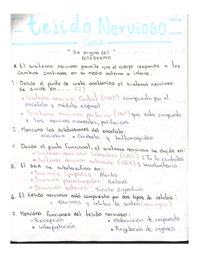 Miniatura del documento Guia-Tejido-Nervioso.pdf