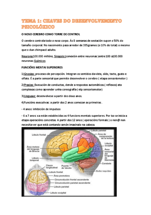 Miniatura del documento TEMA-1.pdf
