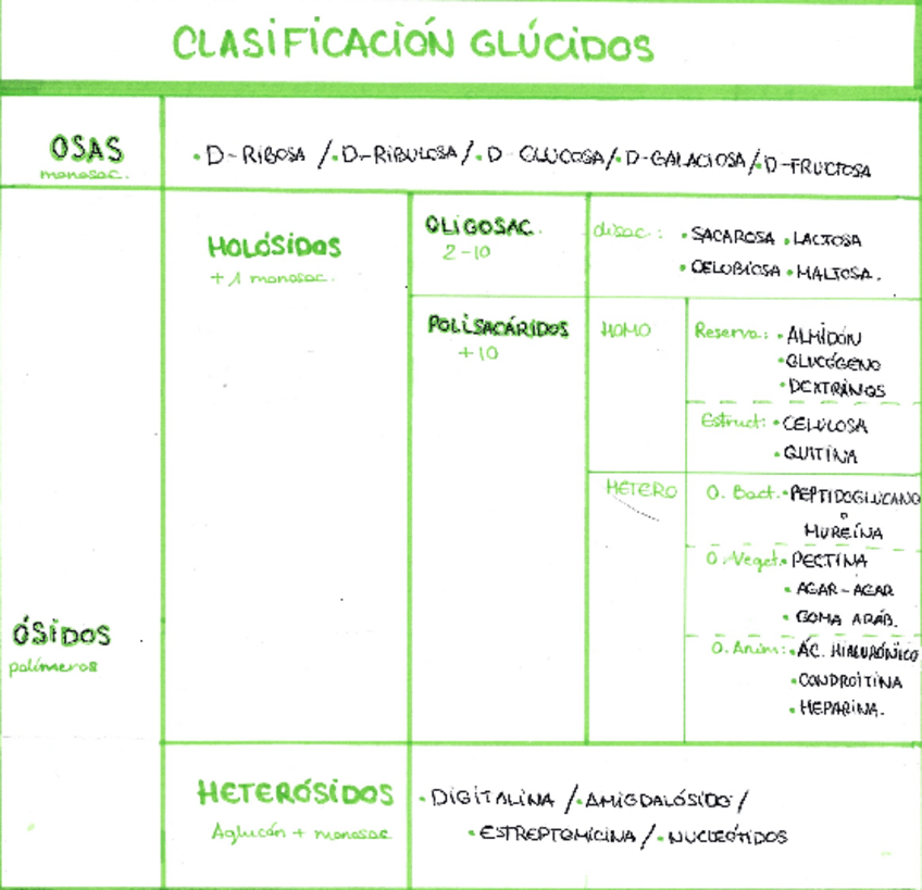 Miniatura del documento APUNTES-BIO-TEMA-2-GLUCIDOS.pdf