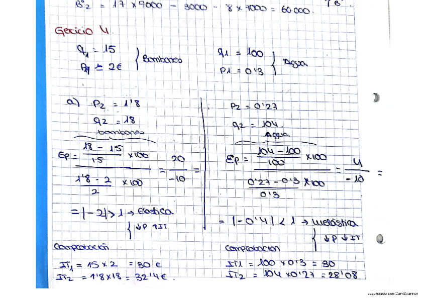Miniatura del documento ejercicio-4-elasticidades.pdf