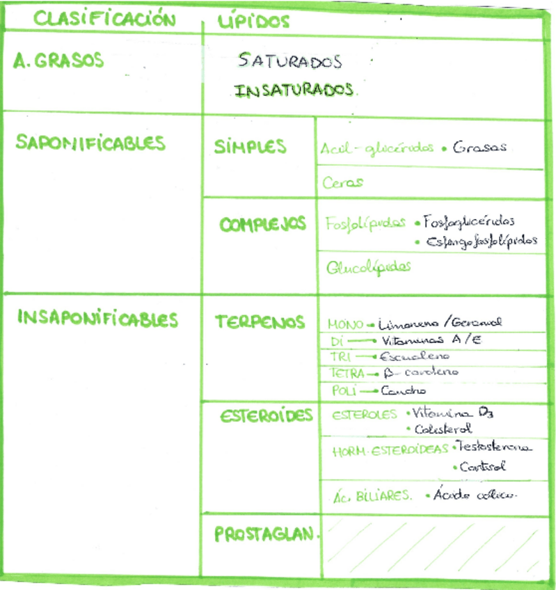 Miniatura del documento APUNTES-BIO-TEMA-3-LIPIDOS.pdf