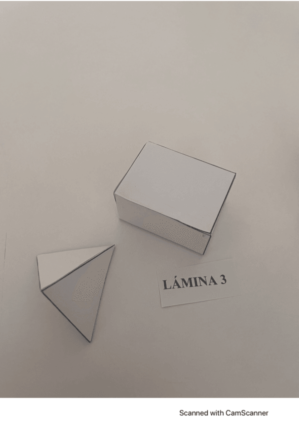 Miniatura del documento Seminario-Laminas.pdf