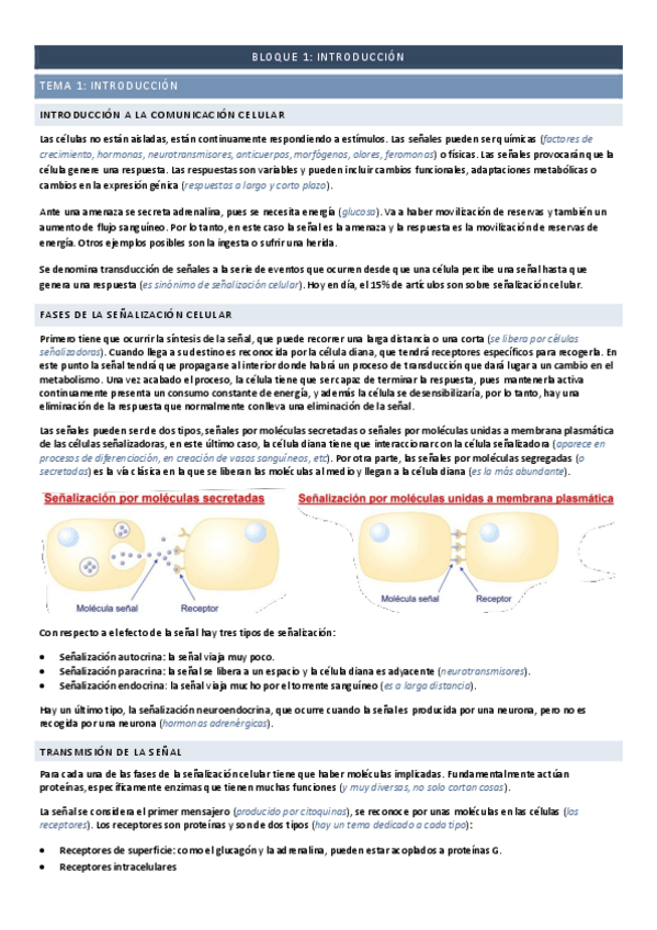 Miniatura del documento Bloque-1-Introduccion.pdf