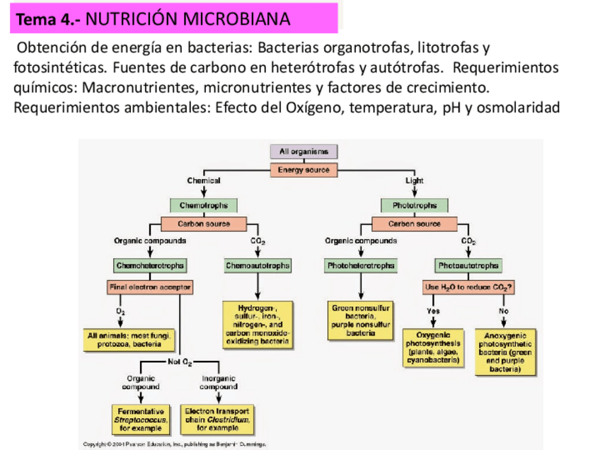 Miniatura del documento Tema-4-20-21.pdf