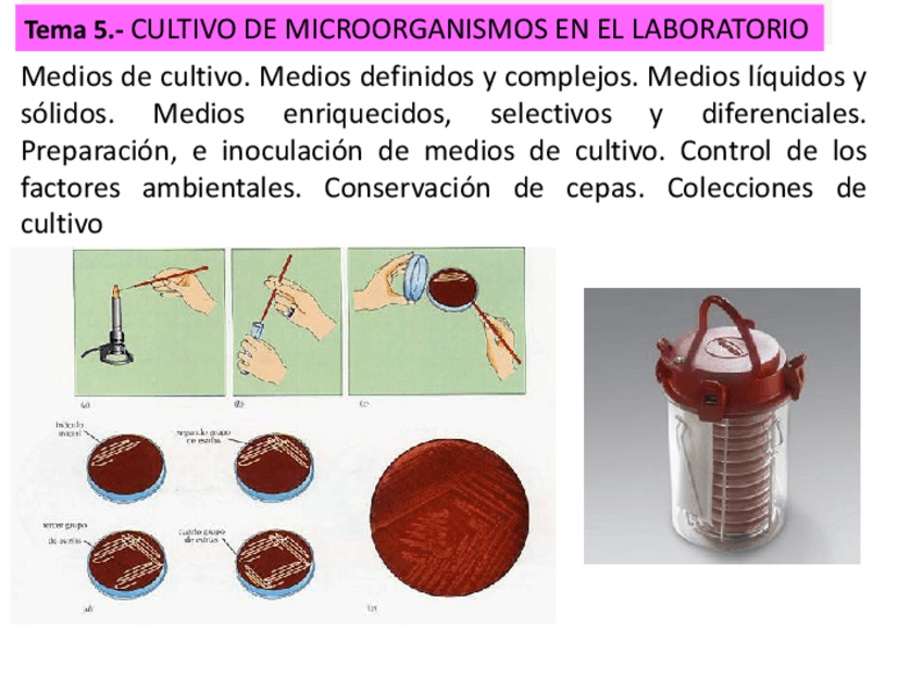 Miniatura del documento Tema-5-20-21.pdf
