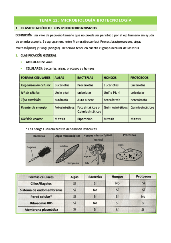 Miniatura del documento TEMA-12.pdf