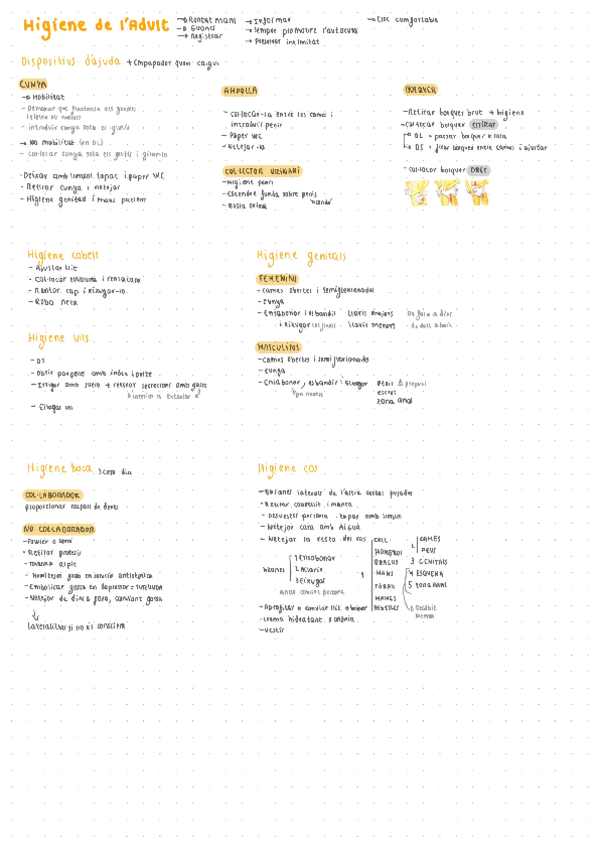 Miniatura del documento Higiene-Adult.pdf