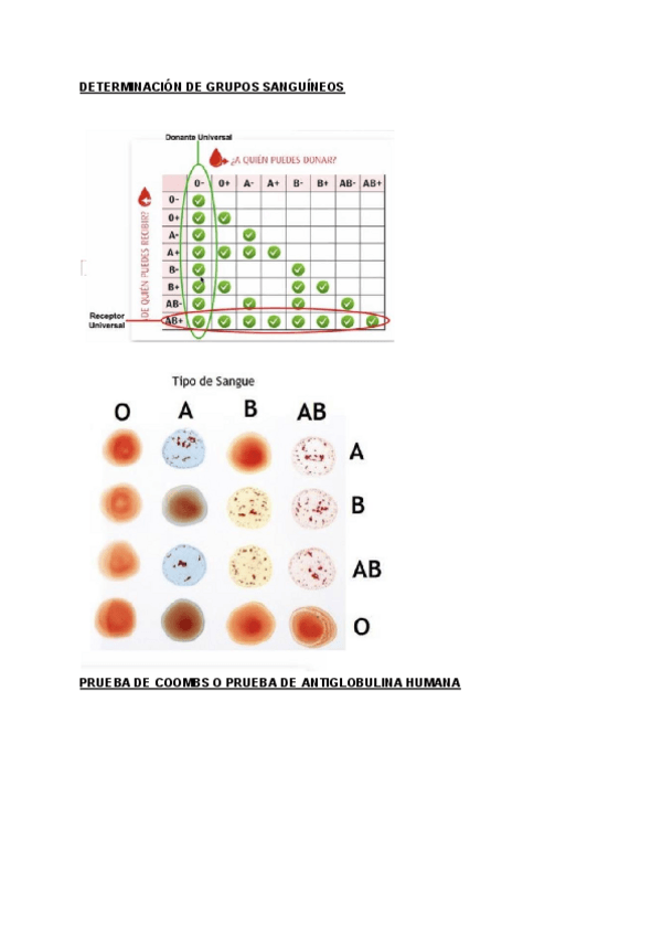Miniatura del documento HEMOCOMPATIBILIDAD.pdf