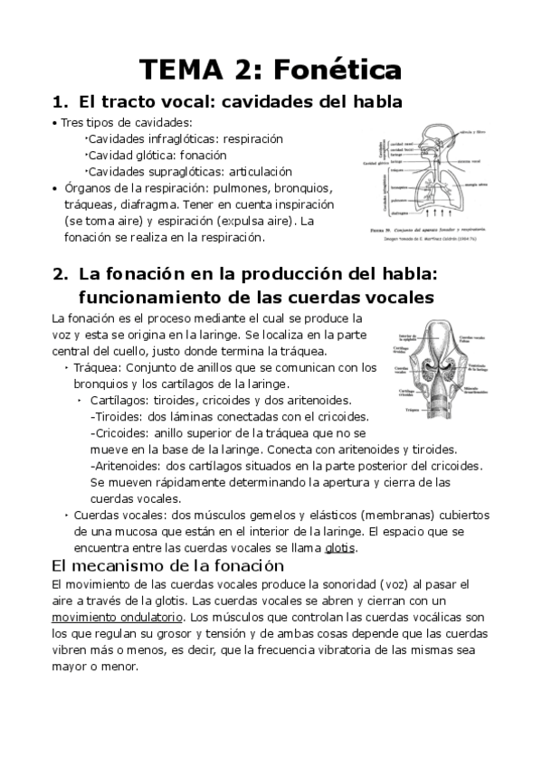 Miniatura del documento Fonetica-y-Fonologia-Tema-2.pdf