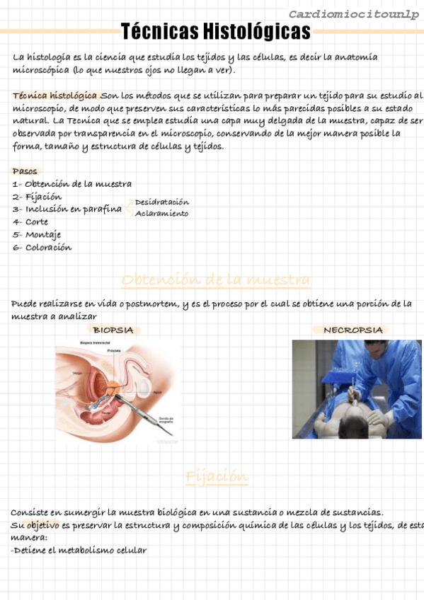 Miniatura del documento Tecnicas-Histologicas.pdf