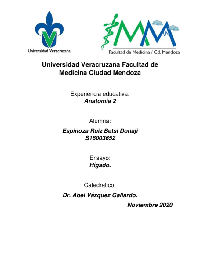 Miniatura del documento Higado.pdf