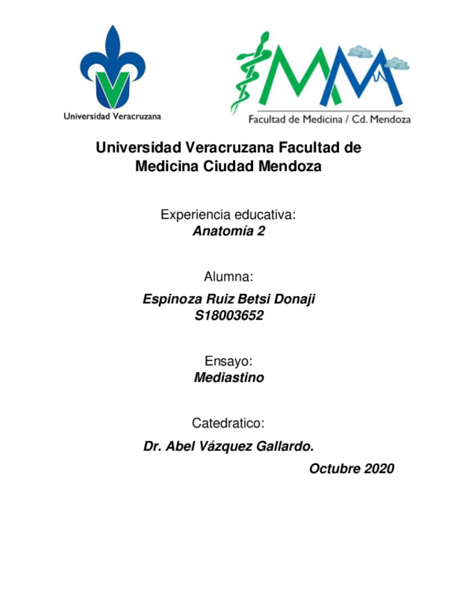 Miniatura del documento Mediastino.pdf