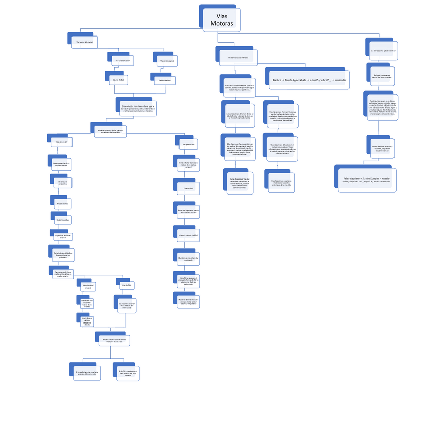 Miniatura del documento Vias-motoras.pdf