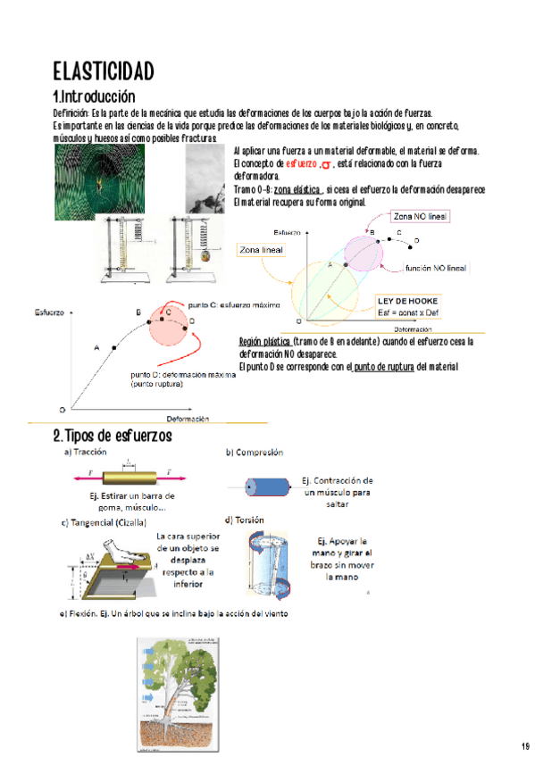 Miniatura del documento Tema-1.Elasticidad.pdf