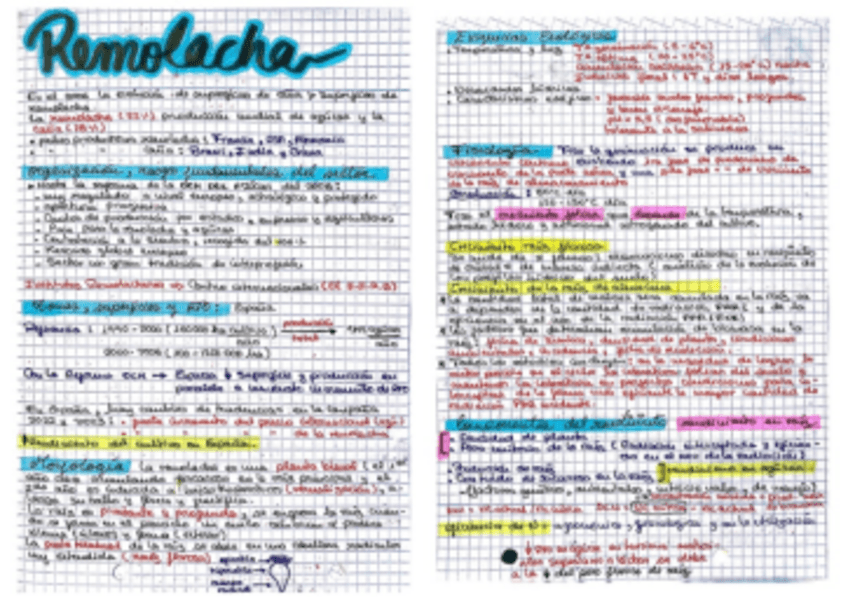 Miniatura del documento Remolacha.pdf