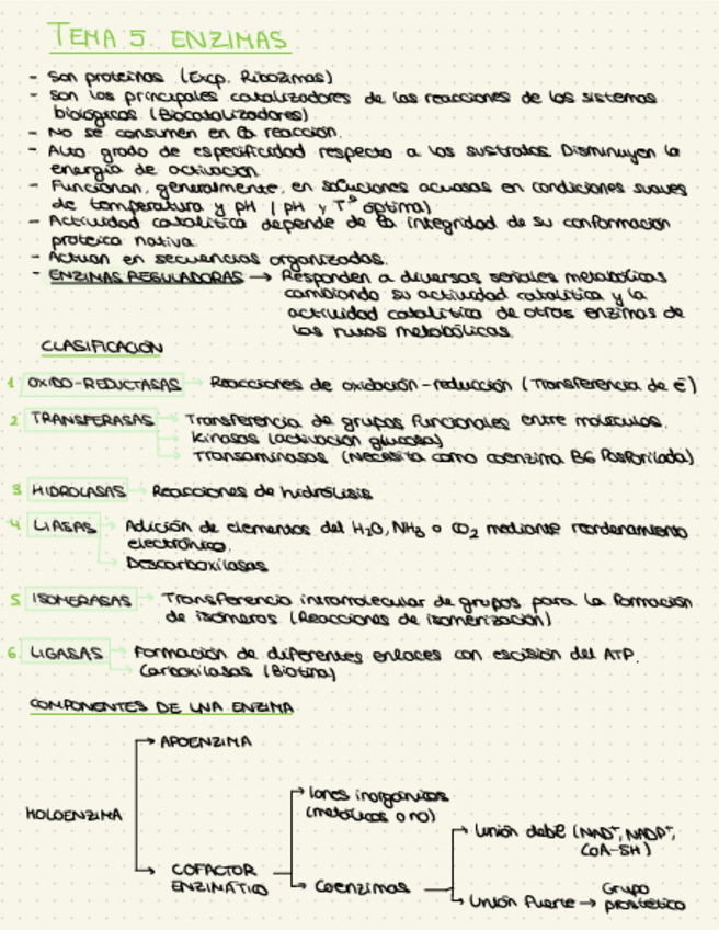 Miniatura del documento Apuntes-Bioquimica-37-53.pdf