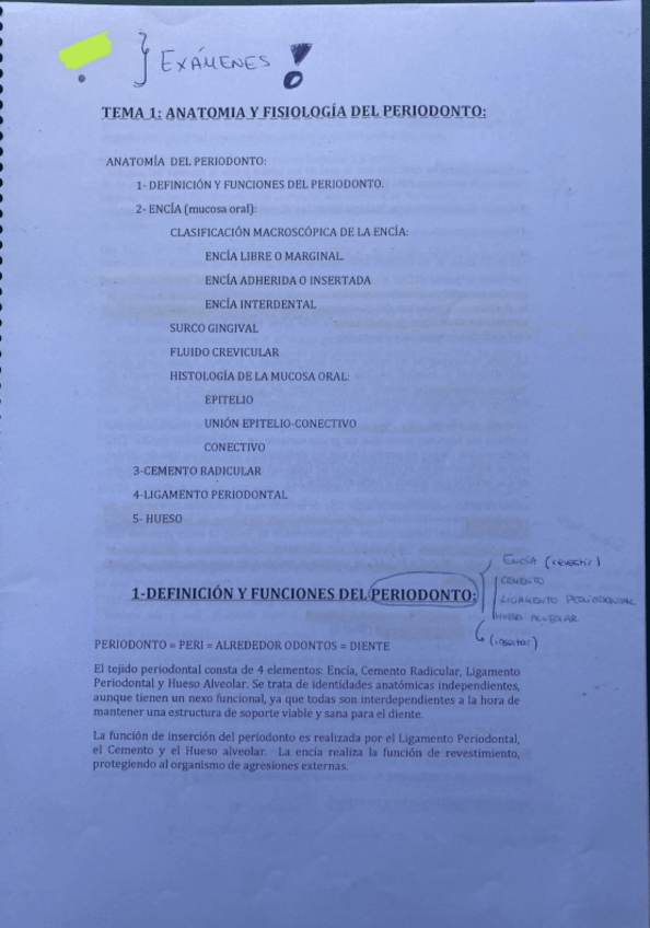 Miniatura del documento Matricul-de-Honor.-Tema-1-Anatomia-y-fisiologia-del-periodonto.pdf