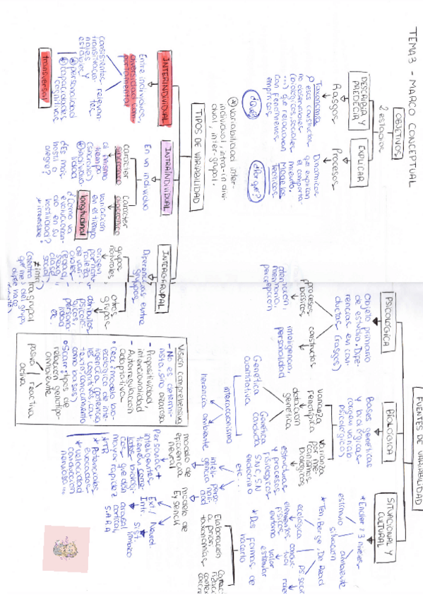 Miniatura del documento Diferencias-individuales-esquema-tema-3.pdf