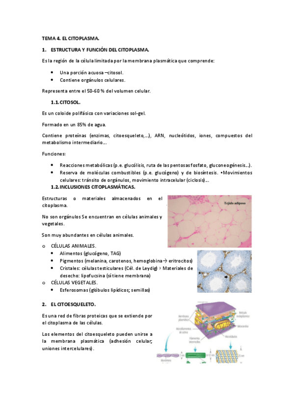 Miniatura del documento 4.-citoplasma.pdf