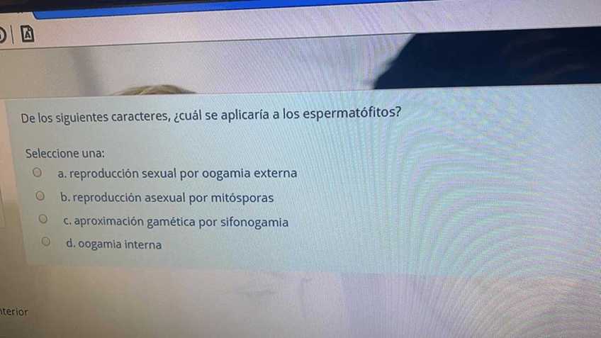 Miniatura del documento TODO-EXAMENES-BOTANICA.pdf