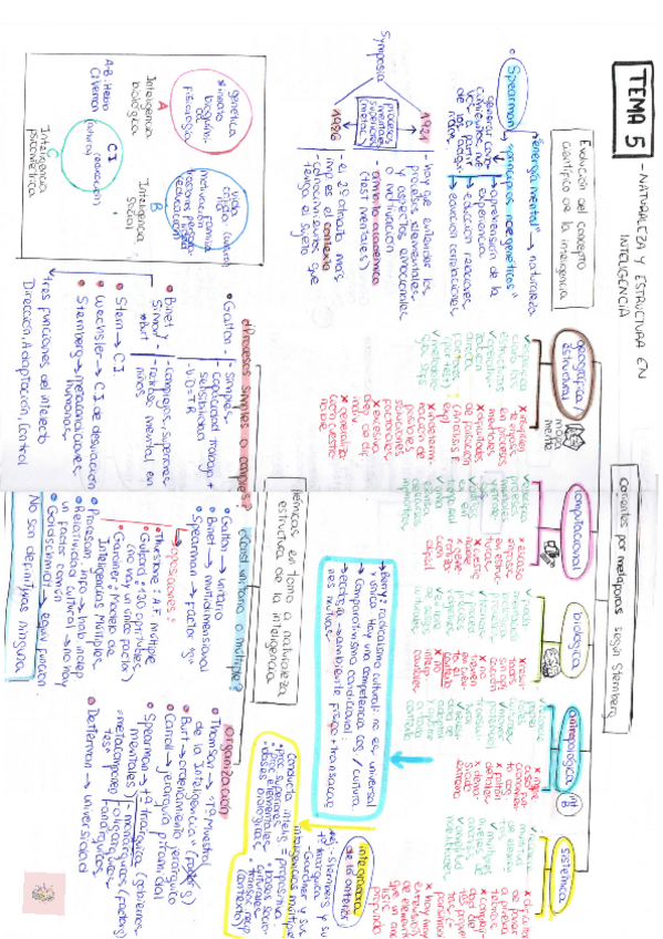 Miniatura del documento Diferencias-Individuales-esquema-tema-5.pdf